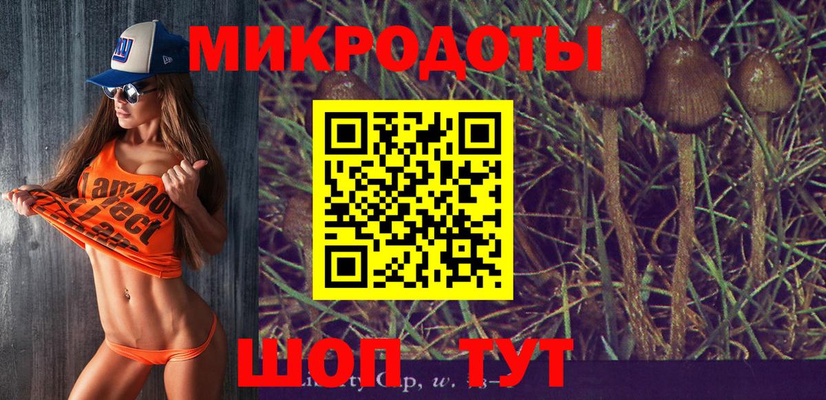 Галлюциногенные грибы GOLDEN TEACHER  Вход с VPN  Бердск  Галлюциногенные грибы Magic Shrooms 